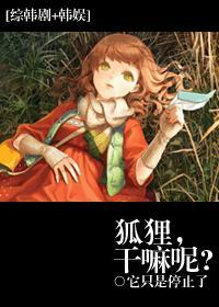狐狸呀你在干嘛韩剧网