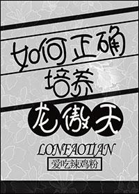 龙傲天攻略手册全文阅读