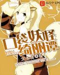 口袋妖怪奇力风