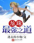 龙珠最强之道粤语