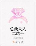 总裁夫人番外