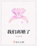我们离婚了免费阅读