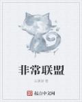 非常英雄 联机