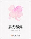 晨光微露免费阅读