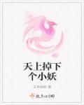 天上掉下来个小郎君