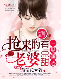 一见倾心抢来的老婆有点儿甜