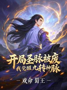 玄幻开局圣体道胎叶尘