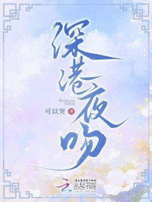 深夜港湾ktv版