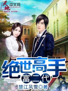 绝世高手高手