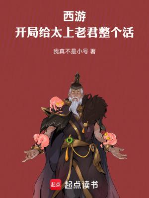 西游开局给太上老君整个活我真不是小号 著