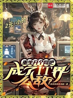 主角重生开网吧的