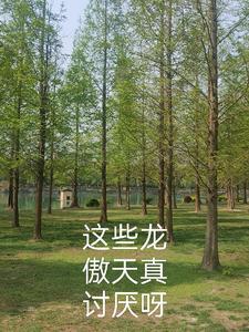 有哪些好看的龙傲天
