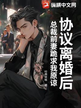 总裁离婚了离婚前妻很难追