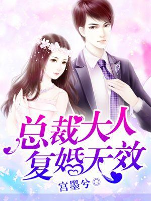 总裁大人追夫记免费阅读