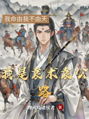 三国我是袁公路