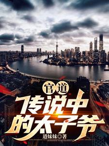 官场太子爷的