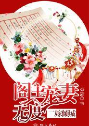 二嫁免费无弹窗