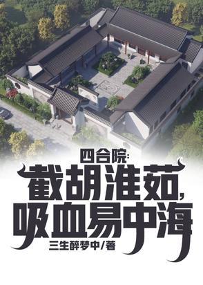 四合院老屋