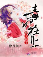 毒妃在上王爷在下演员