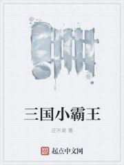 小霸王的三国游戏