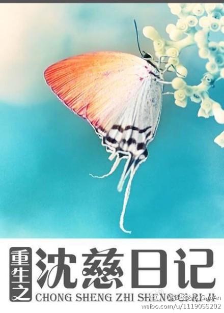 606. 第 606 章 重生之沈慈日记