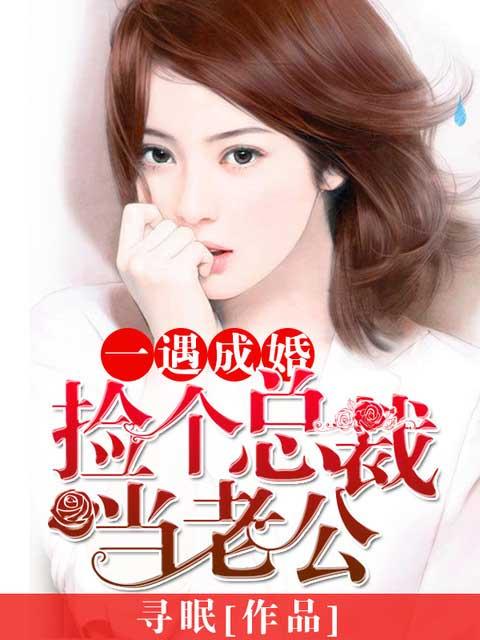 捡个总裁当老公大全