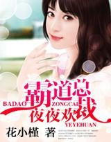 霸道总裁夜夜爱