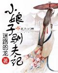 小娘子养家日常