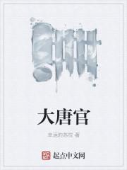 大唐官府是谁创建