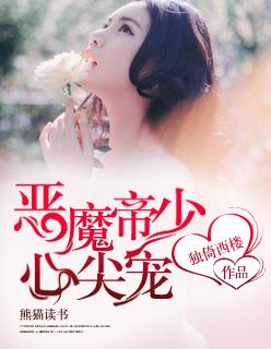 恶魔帝少轻轻宠