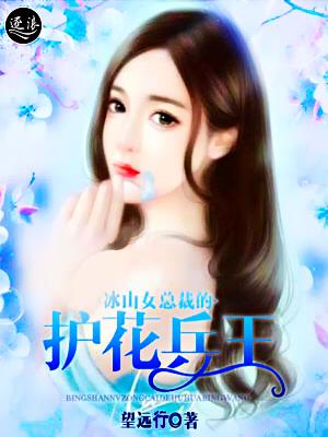 冰山女总裁的贴身兵王