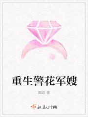 重生警察系列