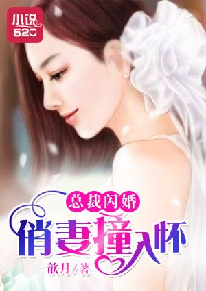 总裁闪婚新妻