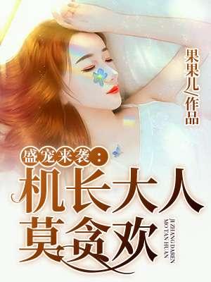 机长大人请别撩全文阅读