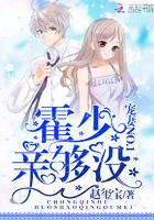 宠妻狂魔霍少