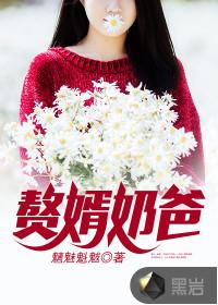 赘婿奶爸林若然在线阅读