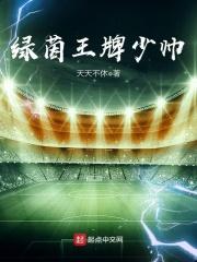 绿茵王牌少帅笔趣阁