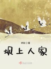 坝上人家蜂巢茶