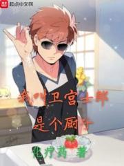 我叫卫宫士郎是个厨子免费阅读