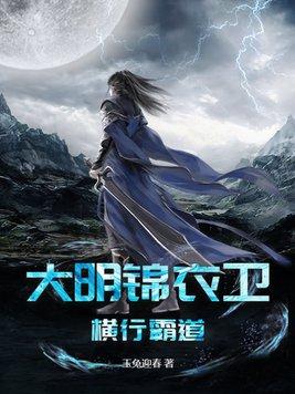 大明锦衣卫指挥使