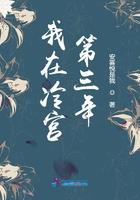 我在冷宫第三年全文免费阅读