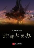 是地球大