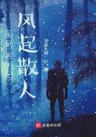 全职高手之散人高手