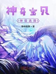 神奇宝贝之神级选择镇天榜