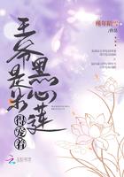 王爷心系白莲花前任