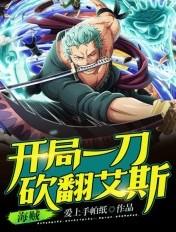 海贼开局一刀砍翻艾斯免费阅读