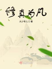 修真者修为
