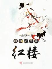 这就是红楼
