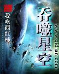 吞噬星空2免费阅读全文