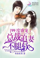 总裁追妻99式
